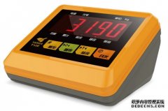 电子榴莲视频APP下载网址进入网站XK3190仪表系列产品