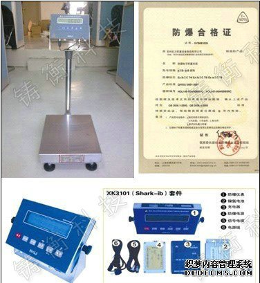 防爆电子榴莲视频APP下载网址进入网站